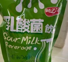 Yangtze River Lactic Acid Bacteria Drink