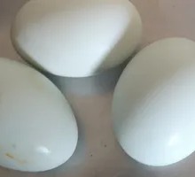 Salted duck egg