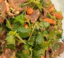 Cilantro Beef Salad