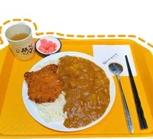 Pork Cutlet Curry Rice