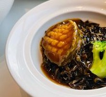 Small Abalone