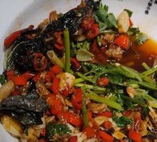Sizzling Bullfrog Stir-fry