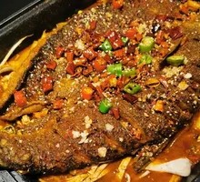 Crucian Carp