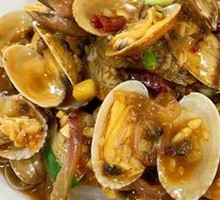 Iron Plate Clams