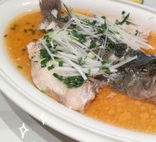 Scallion Fragrant Live Sea Bass