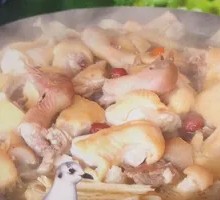 Pigeon Hot Pot