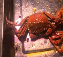 Braised Crab