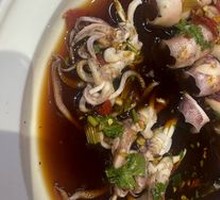 Spicy Sauce Sea Slug and Squid