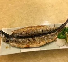 Grilled Saury