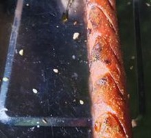 Ham Sausage