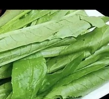 Oilseed lettuce