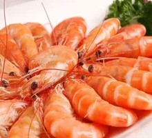 Prawn
