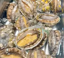 Abalone