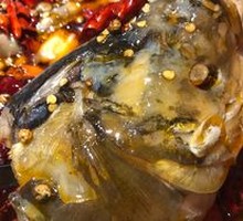 Bighead Carp Head