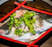 Organic Bighead Carp