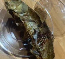 Slippery Fish and Meat