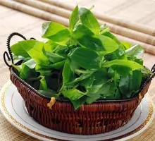 Bamboo Shoot Greens