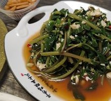 Purslane Salad