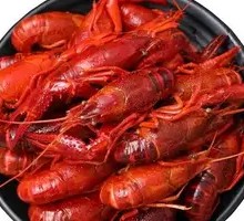 Clear Water Shrimp