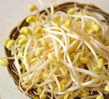 Mung Bean Sprouts