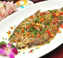 Pan-Seared Large Catfish