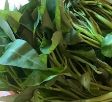 Water spinach