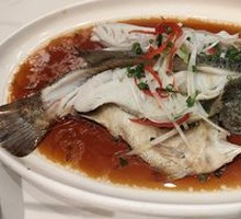 Steamed Fresh Sea Bass