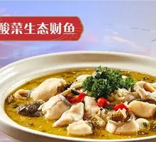 Sour Cabbage Ecological Carp Fish