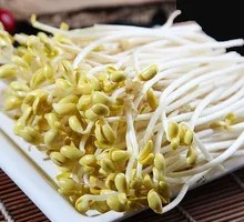 Bean sprouts