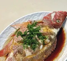 Steamed Red Snapper