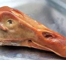 Duck Head