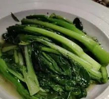 Guangdong Bok Choy