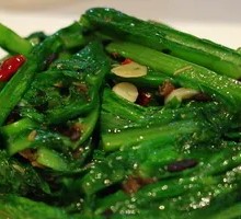 Oilseed lettuce