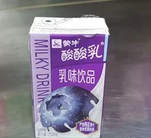 Mengniu Sour Milk Blueberry Flavor