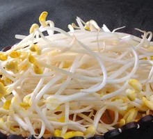 Mung Bean Sprouts