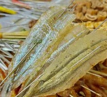Horse Mackerel
