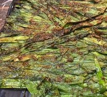 Leek