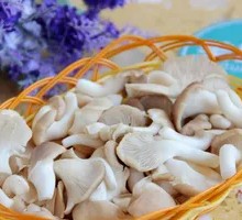 Enoki Mushroom