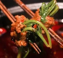 Cilantro Beef