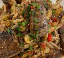 Kema Burnt Eel