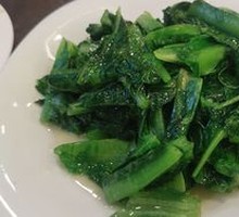 Oilseed lettuce