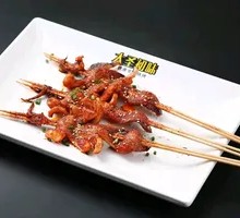 Squid