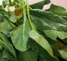 Spinach