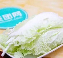 Napa cabbage