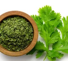 Cilantro Beef