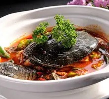 Clay Pot Softshell Turtle