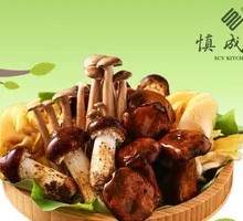 Yunnan Mushroom