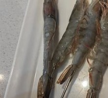 Prawn