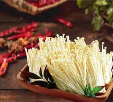 Enoki Mushroom