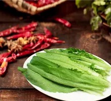 Oilseed lettuce